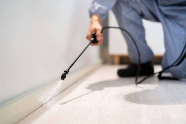 Professional exterminator conducting IPM assessment in Casa Blanca